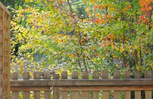 Remiremont Apartment | Gîte charmant à Remiremont : nature, randonnées et confort pour 6 personnes et animaux bienvenus - FR-1-589-411