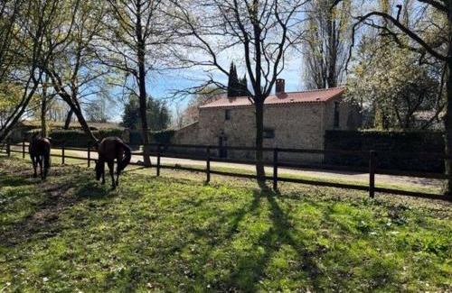 Mauves-sur-Loire House | Gîte charmant, spacieux, à 15 km de Nantes, 2 chambres, terrasse, parking, animaux acceptés - FR-1-306-1238