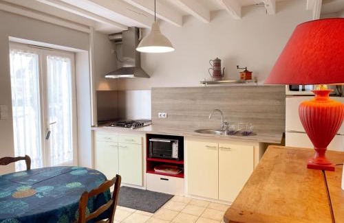 Couffy House | Gîte confort pour 2 avec jardin privatif près des châteaux et du Zooparc de Beauval - FR-1-491-368