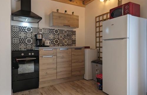 Chateauneuf-sur-Charente Apartment | Gîte cosy avec terrasse privative, jardin et activités nature à proximité - FR-1-653-259