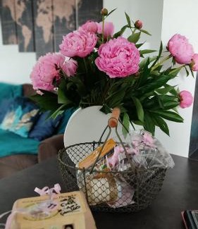 Saint-Ame Apartment | Gîte cosy avec avec jardin et parking privatifs - Hautes Vosges