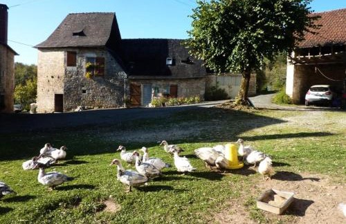 Turenne Apartment | Gîte de France à Turenne 3 épis - Gîte de France 6 personnes MAE-9334