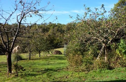 Turenne Apartment | Gîte de France à Turenne 3 épis - Gîte de France 6 personnes MAE-9334