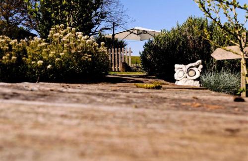 Sainte-Fortunade Apartment | Gîte de France Les figuiers 3 épis - Gîte de France 4 personnes MAE-6544