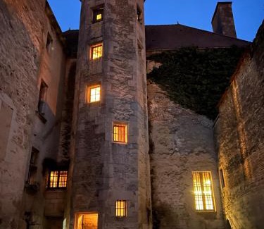 Chatillon-sur-Seine House | Gîte de l'Auditoire Royal