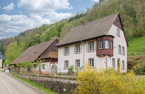 Sainte-Marie-aux-Mines House | Gîte de l'Oriel - Gîte avec Grand Jardin