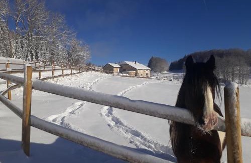 Lamoura House | Gîte des 3 Marches