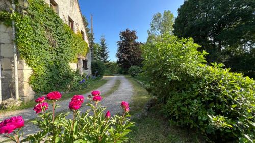 Souvigny-de-Touraine Apartment | Gîte du moulin de Vandon