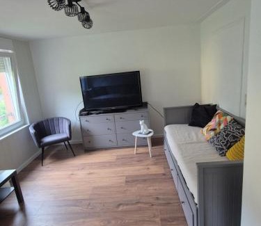 Muhlbach-sur-Bruche Apartment | Gîte du Rocher du faucon le renardeau 4 à 5 personnes
