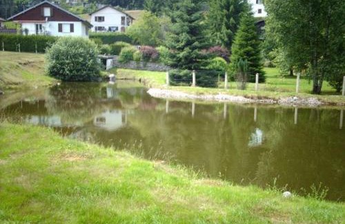 Le Menil House | Gîte familial aux Vosges avec jeux pour enfants, à proximité de la nature et activités sportives - FR-1-589-111