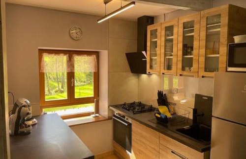 Vienville House | Gîte familial avec piscine, idéal pour randonnées et pêche, proche Gérardmer et crêtes vosgiennes - FR-1-589-238