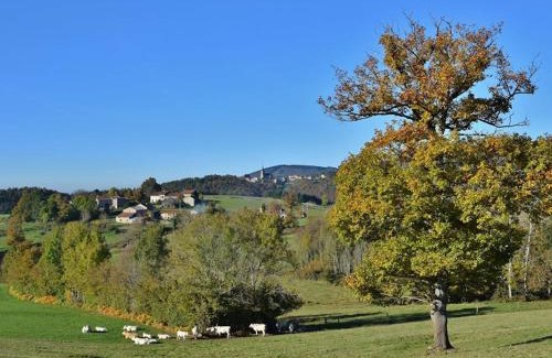 La Chabanne House | Gîte familial tout confort avec jardin et loisirs à proximité, idéal pour 12-14 pers. - FR-1-489-340