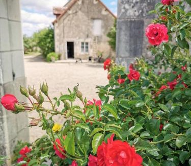Drache House | Gîte grande capacité en Touraine