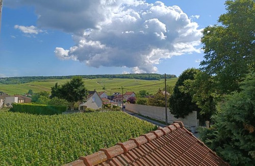 Dizy Apartment | Gîte indépendant Diz'enreves au cœur des vignes