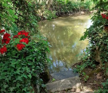 Beaulieu-les-Loches Apartment | gîte " jardin peyrona" visite zoo beauval et châteaux de Loire