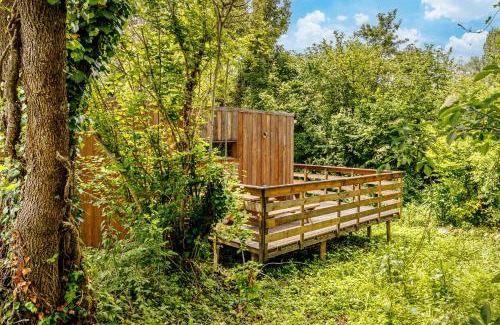 Blesignac House | Gîte l'Acacia 3 à 6 personnes