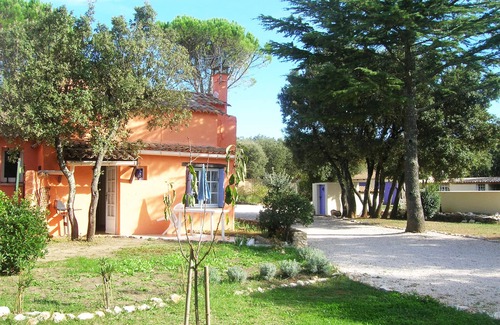 Saint-Siffret Apartment | Gîte "l'Olivier" 2-3 people, 10 mins Uzès, salt pool, quiet
