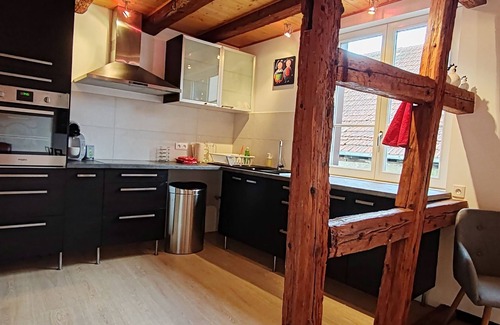 Selestat Apartment | Gîte la Grenouille - Proche Europa Park