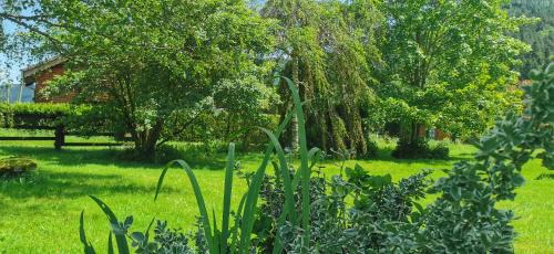 Ban-sur-Meurthe-Clefcy Apartment | Gîte Le Clos des Vosges