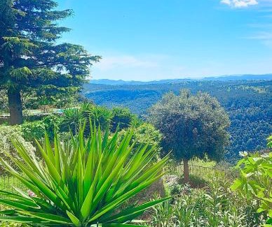 Saint-Cezaire-sur-Siagne Apartment | Gîte Le Figuier de Saint Ce Jardinet Terrasse Vue
