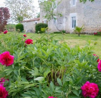 Doix-les-Fontaines House | Gîte Les Bougrines - Marais