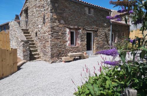 Saint-Fulgent House | Gîte les genêts