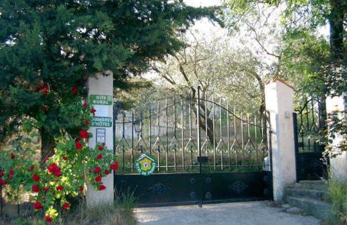 Berre-des-Alpes Apartment | Gîte Les Lys