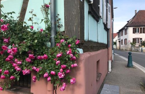 Scherwiller House | Gîte mon rêve à Scherwiller avec SPA sur la route des vins au coeur de l'alsace