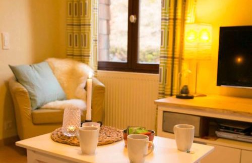 Fresse-sur-Moselle House | Gîte montagnard confortable avec terrasse et WIFI - FR-1-589-751