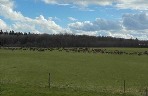 La Trinite-des-Laitiers House | Gîte paisible en Normandie avec WiFi, animaux admis - FR-1-497-227