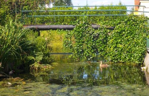 Saint-Omer House | Gîte spacieux avec jardin, barque, et label tourisme handicap - Marais Audomarois - FR-1-376-72