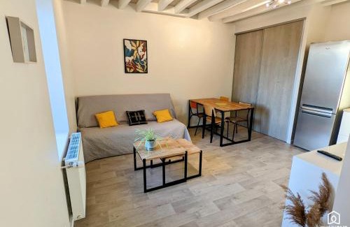 Olivet House | Gîte - Terrasse - Jardin - Soleil - Parking - Tram