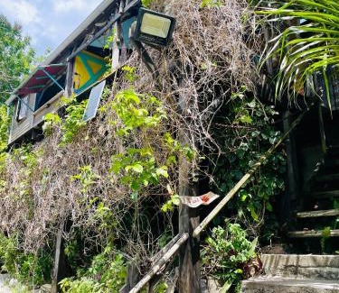 Grand Anse House | Gîte Ti Kazalo, cabane perchée, vue mer spectaculaire, pieds dans l'eau