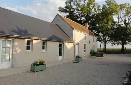 Cravant House | Gîte tranquille avec jardin près de la Loire à vélo, labellisé Tourisme et Handicap - FR-1-590-21