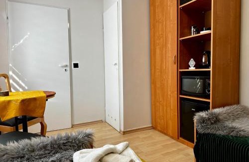 Szczawnik Apartment | Górska Ostoja