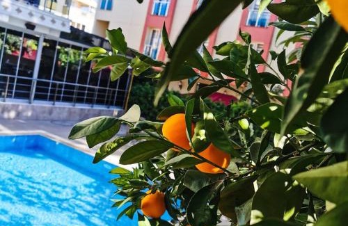 Konyaalti Apartment | Güden-Pearl