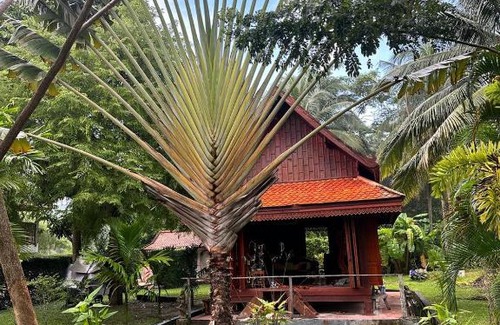 Thong Sala Villa | G HOUSE