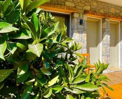 Hayitbuku Apartment | Gabaklar butik otel