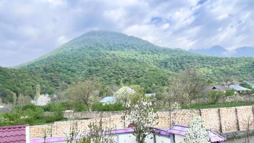 Gabala Villa | Gabala Garden & Mountain View Villa