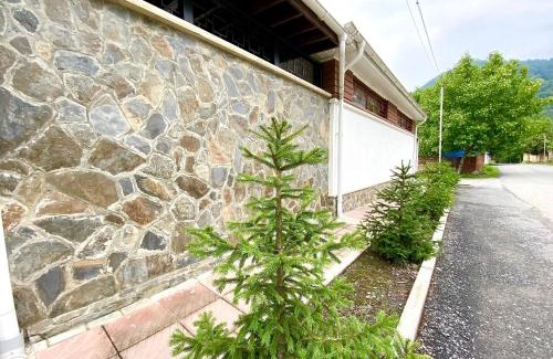 Gabala House | Gabala Sweet Lounge
