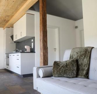 Singen Apartment | Gadenhaus-für Ferien&Business am Bodensee