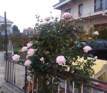 Susica Apartment | Gajeta