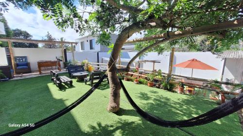 Puerto Ayora Apartment | Galápagos Volcanic