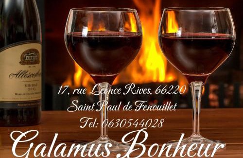Saint-Paul-de-Fenouillet Apartment | Galamus Bonheur ! 2-3 jours si vous restez, le prix est bien baissé !