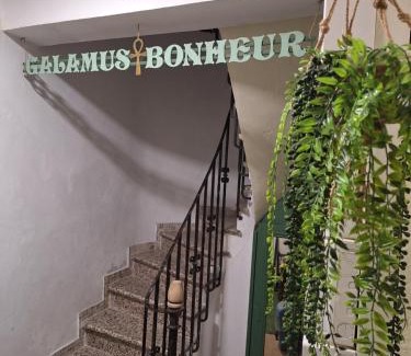 Saint-Paul-de-Fenouillet Apartment | Galamus Bonheur ! 2-3 jours si vous restez, le prix est bien baissé !