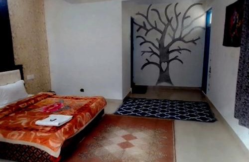 Bhagsu Nag House | Galaxy Homestay