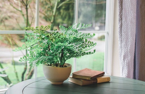Geneva House | Galbraith Getaway: Lush & Cozy + Backyard trail access