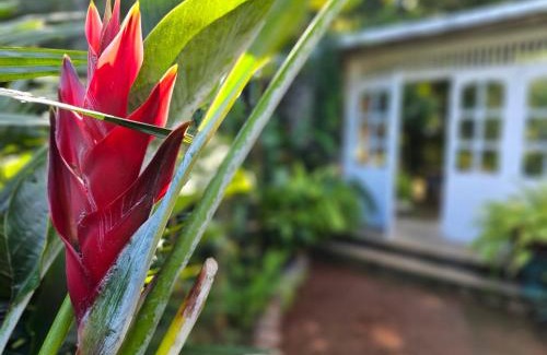 Gomagoda Villa | Galkanda Walawwa Boutique Villa