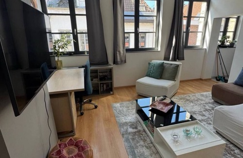 Tournai Apartment | Gallait Suites - Heart of Tournai with AC, WiFi.