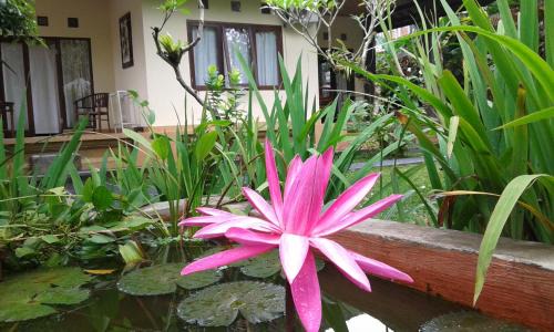 Ubud City-Centre House | Gangga House